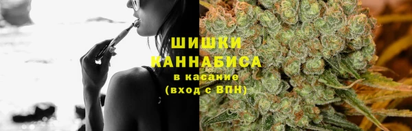 стаф Бронницы