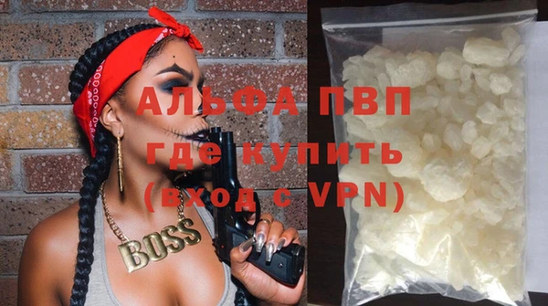 стаф Бронницы