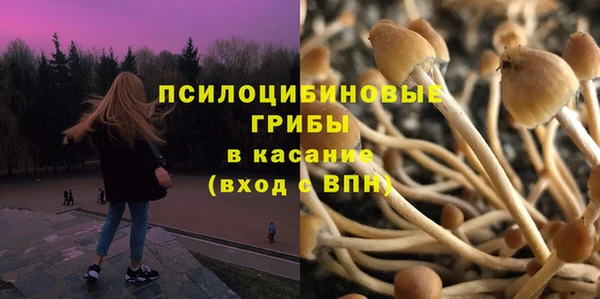 стаф Бронницы